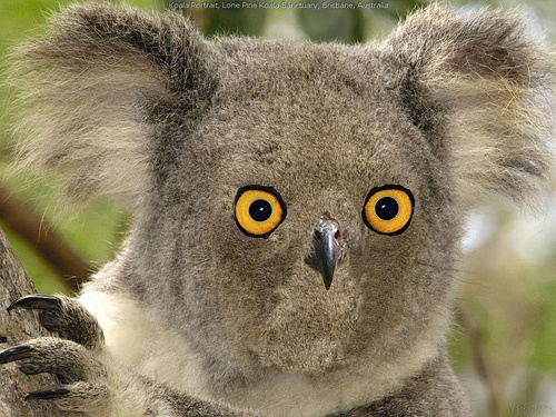 3660995341_ab9e3ede71